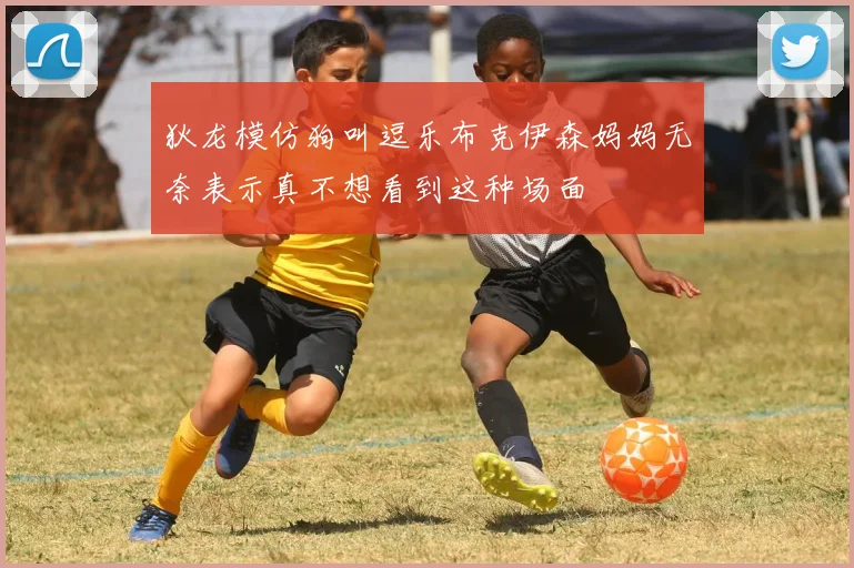 狄龙模仿狗叫逗乐布克伊森妈妈无奈表示真不想看到这种场面