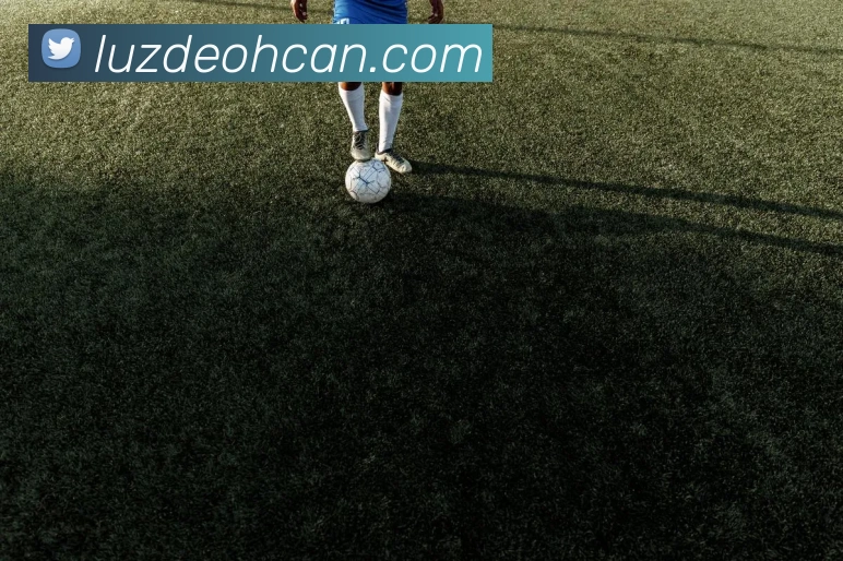 多彩内容专区